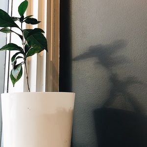 Meet your Posher, Lydia